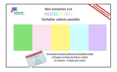 Cartulina Escolar Colores Pastel 45x63 X  10u Surtidos 0
