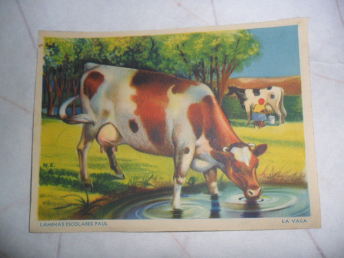 Lamina Escolar Paul Hermanos Escuela M.k. La Vaca Vacuno 0