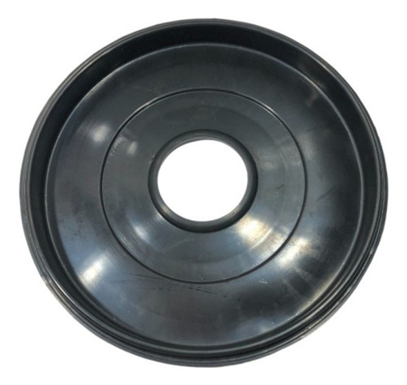 Diafragma Servo Freno Bendix Bosch Renault Kangoo - Ae 1009 1