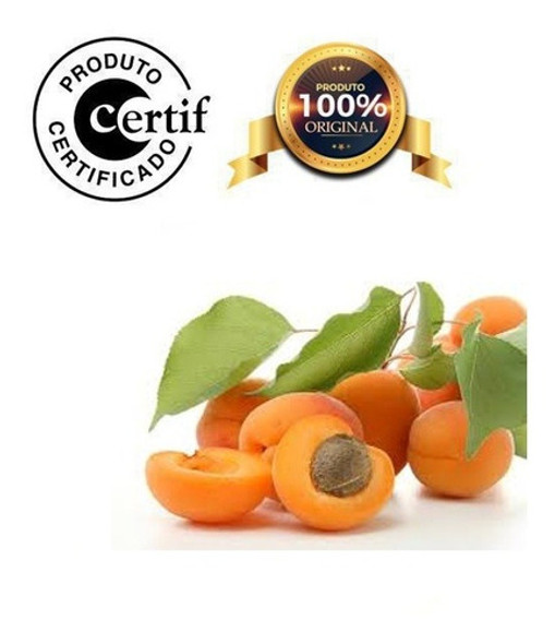 Óleo De Damasco 1litro Prensado A Frio Com Laudo 0 Óleo De Damasco 1litro Prensado A Frio Com Laudo 0