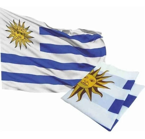 Bandera De Uruguay Oficial 60 X 100 Cm 0
