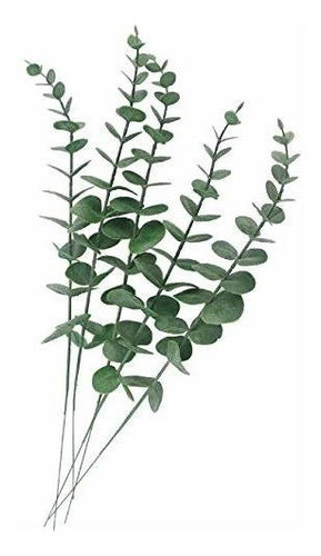 Tinsow 5 Piezas De Hoja De Tacto Real Tallo De Eucalipto Art 0