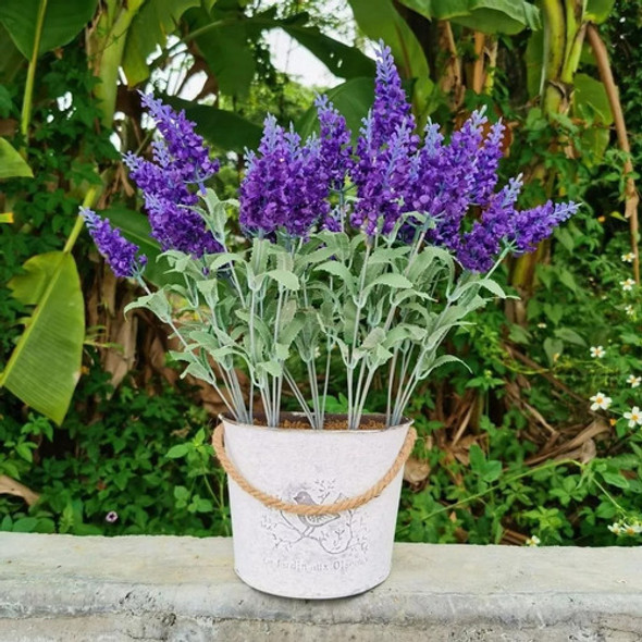 Semente De Lavanda Verdadeira 200mg Livre De Agrotóxico Isla 1