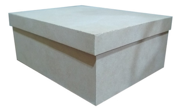 Caja Fibrofacil 20x30x10 Con Tapa Tipo Zapato X 10 Un. 0