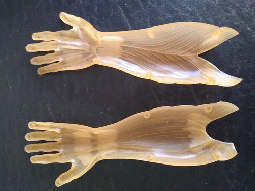 Piezas Cuerpo Humano Editorial Salvat. Mano Y Antebrazo 1