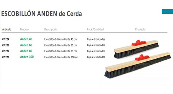 Escobillon Anden Cerdas 60cm S/cabo Industrial Caja X 6 1