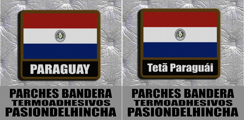 Parche Bandera Con Nombre Paraguay 0