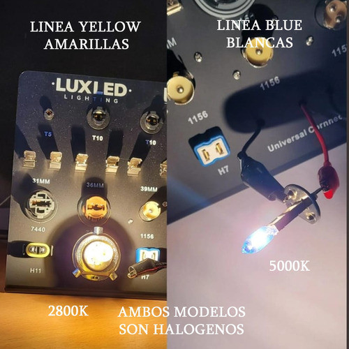 Kit 2 Lámparas H3 70w 24v Kobo 5000k Camion Kobo Halogena 1