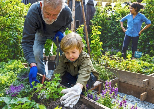 Herbicida Paraquat X 5 Litros Falcrop Pr6 1