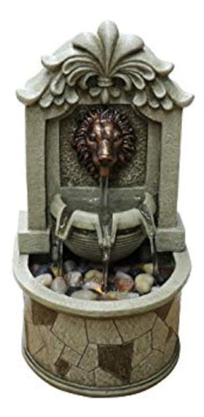Lion's Head Fountain Indoor Fountain Felaxation Fountain Fou 0