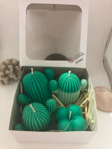 Kit Velas Aromáticas Cacto 0