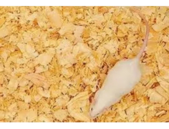 Serragem/maravalha Embalagem 20 Unidades 500 Gr Cada 0 Serragem/maravalha Embalagem 20 Unidades 500 Gr Cada 0