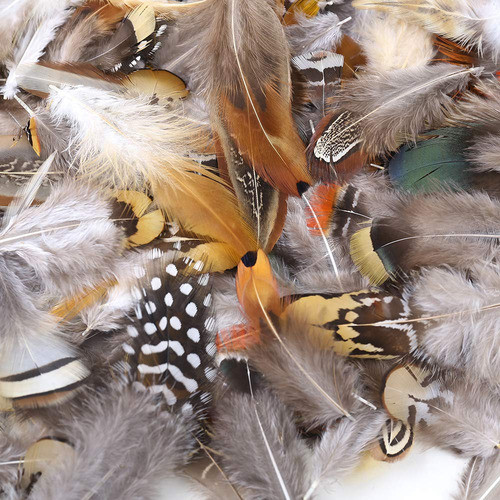 180 Piezas De 9 Plumas Naturales De Estilo Surtidas De Pluma 1