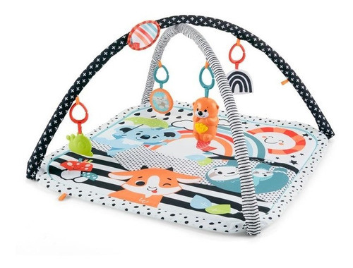 Lançamento! Ginásio Sensorial Fisher Price Mattel Bichinhos 0