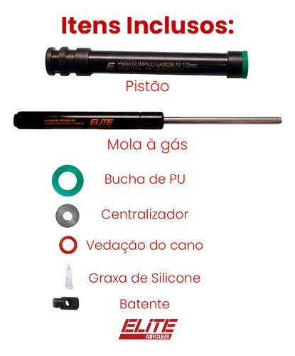 Kit Mola Gas Ram Ats 170mm Com Anel De Vedação 1