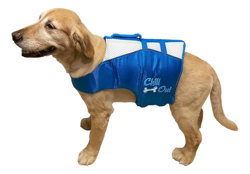Chaleco Salvavidas Para Perros All For Paws - Chaleco Salvav 0