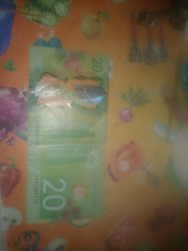 20  Dolar Canadiense 1