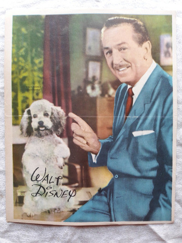 Walt Disney - Disneylandia - Poster Original Canal Tv 0