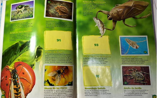 Libro De Figuritas Bichos Disney Explora Pixar Incomplet Ez3 1