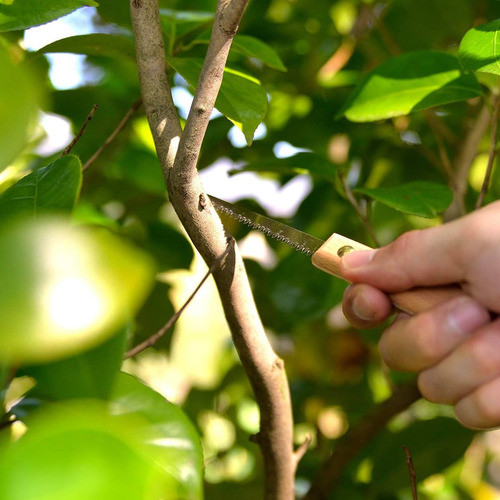 Sierra Bonsái 80 Mm Profesional Hecha En Japón 1