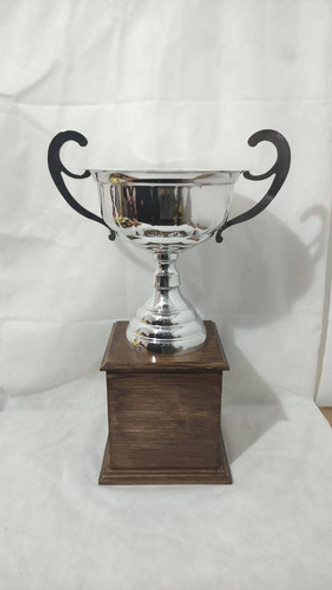 Trofeo Manchester United (24cm) 1 Trofeo Manchester United (24cm) 1