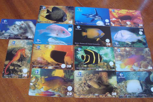Actn Brasil Telemar / Peixes Da Costa Cearense / Completa 0