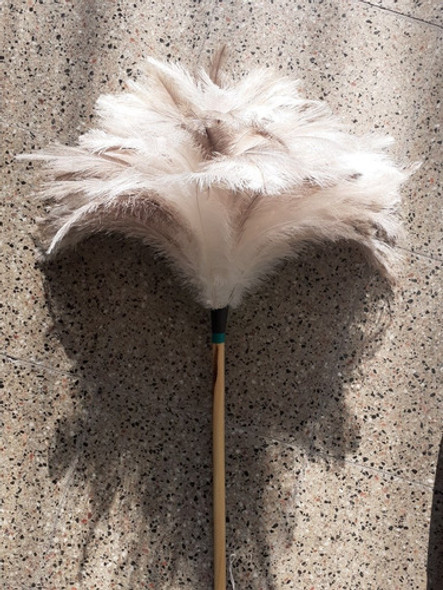 Plumero De Plumas Blancas N 34 Especial. 0