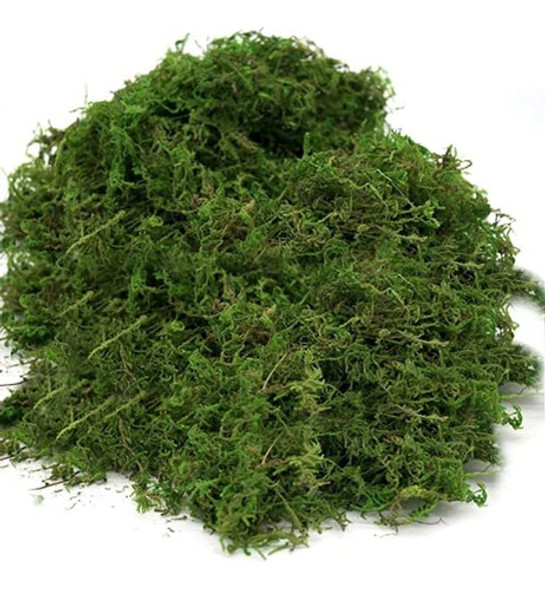Musgo Falso De Usmola, Musgo Verde Artificial Para Plantas E 1