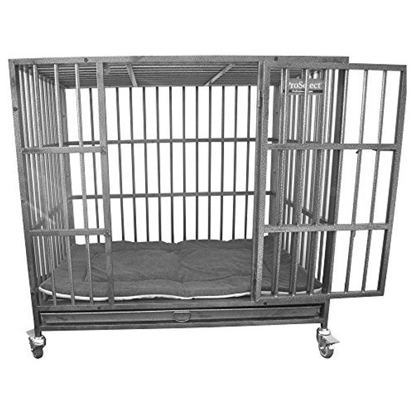 Downtown Pet Supply Alfombrilla Y Almohadilla Para La Siesta 1 Downtown Pet Supply Alfombrilla Y Almohadilla Para La Siesta 1