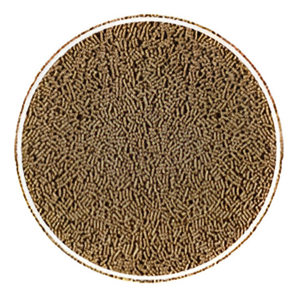 Alimento Para Tortugas Baby Labcon  X 25 Grs 1 Alimento Para Tortugas Baby Labcon  X 25 Grs 1