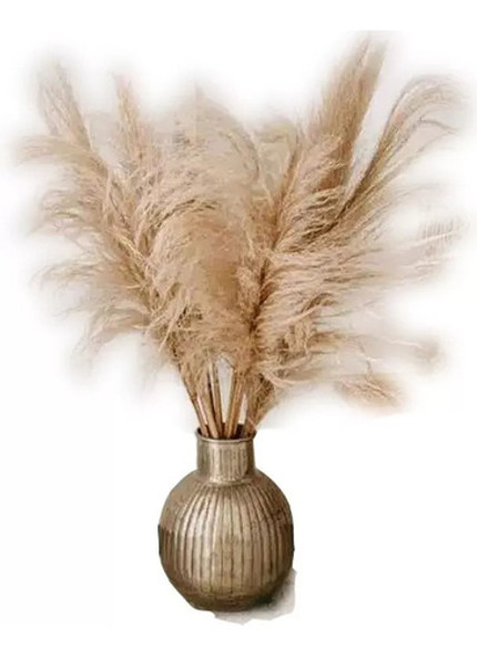 Colas De Zorro X 36 0 Colas De Zorro X 36 0