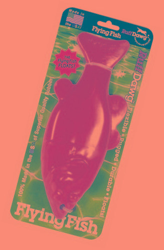 Ruff Dawg Pez Volador Caucho 100% Dog Recuperación Juguete, 1