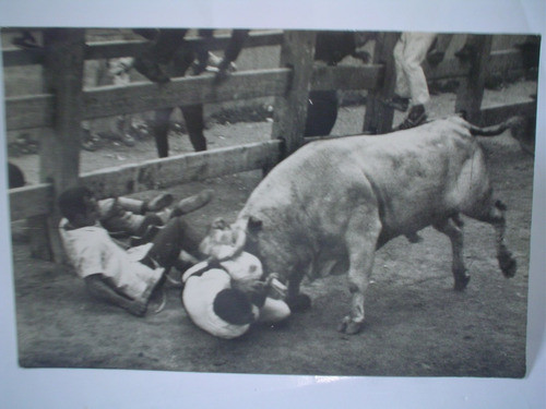 Foto Gomez Pamplona Fiesta San Fermin Encierro Toro Taurino 0