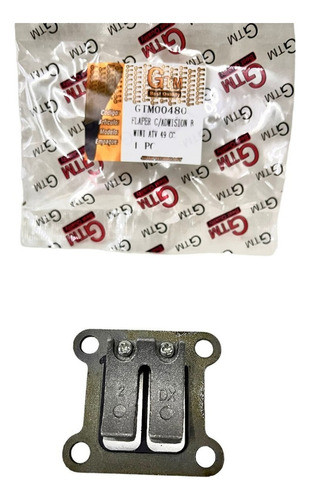 Flapper Mini Atv 50cc. Gtm00480 0