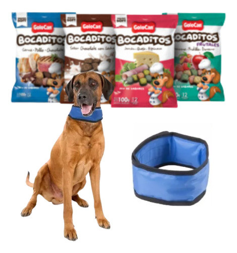 Bandana Refrescante Frio Anti Calor Verano Perro Large 0