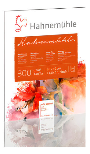 Bloco Aquarela Hahnemühle 300gr 30x40cm Textura Rugosa 0