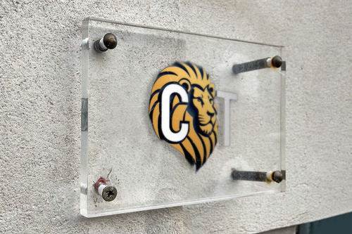 Diseño De Logotipo 1