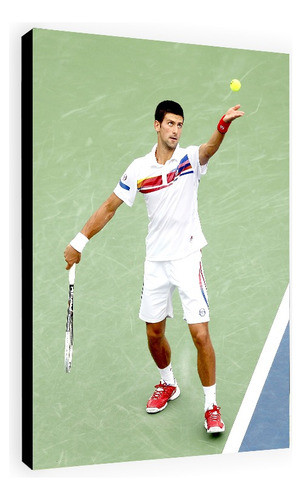 Cuadros De Novak Djokovic, Pedi Tu Tenista Favorito 0