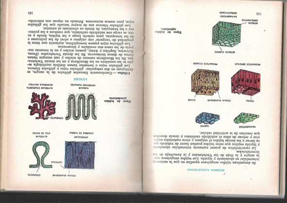 Zoología De A. Dembo - Cesarini 1