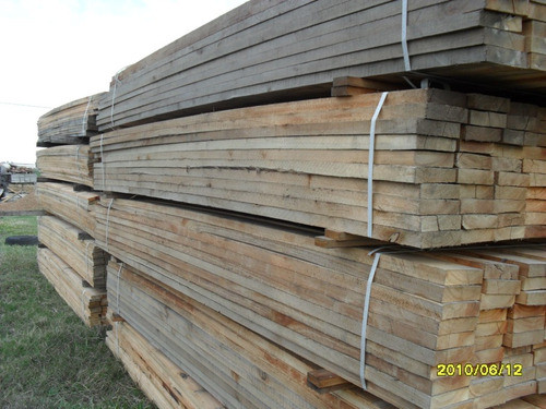 Madera Seca Para Carpinteria- Eucaliptus Todo El Año - 1