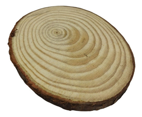 Expositor Base Madeira 9cm Estilo Tronco Arvore Joias 0
