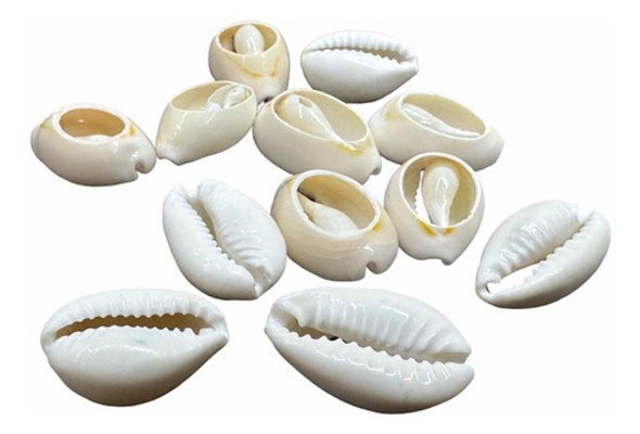 Buzio Cortado Deco Bijoux Trencitas  500 Grs.  Oferta! 0
