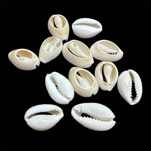 Buzio Cortado Deco Bijoux Trencitas  500 Grs.  Oferta! 1