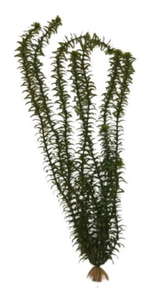 Planta Artificial Plástica Aquário Anacharis 61cm - Tetra 0 Planta Artificial Plástica Aquário Anacharis 61cm - Tetra 0
