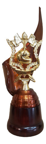 Trofeo Metálico Automovilismo Casco Moto 37cm Base Madera 0