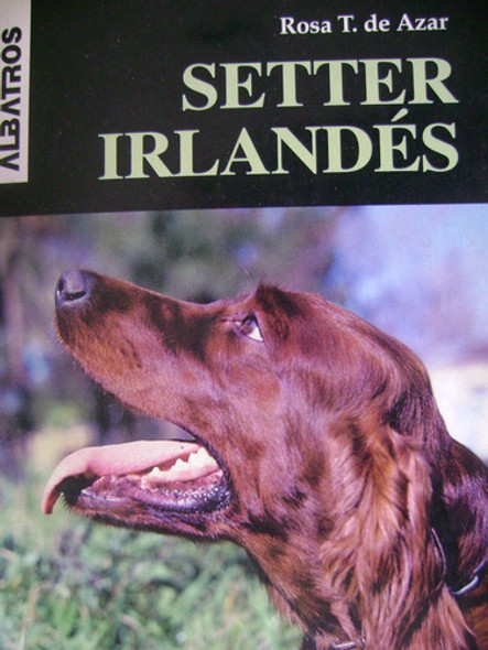 Setter Irlandes. Rosa T De Azar 0