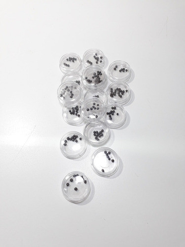 Cajita Sonajero Combo X50 Unidades 2.5mm Especial Sonajero 1