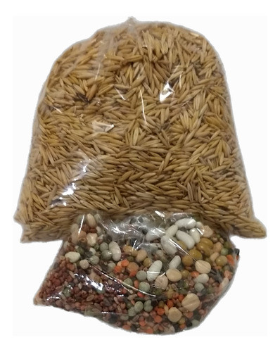 Aveia Com Casca 5 Kg +10 Outros Tipos De Sementes De Brinde 0