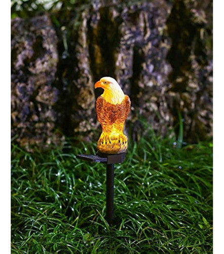 Chuangfeng Estatuilla De Águila Para Jardín Luz Solar De Est 1