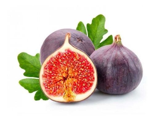 Muda De Figo Enxertado + Muda De Pitaya 0